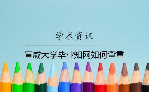 宣威大学毕业知网如何查重
